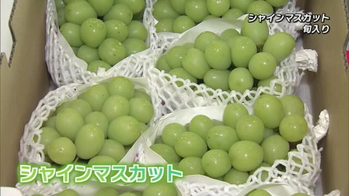 マスカット 楽天市場 | 富澤商店 楽天市場店 - シャインマスカットのグラス