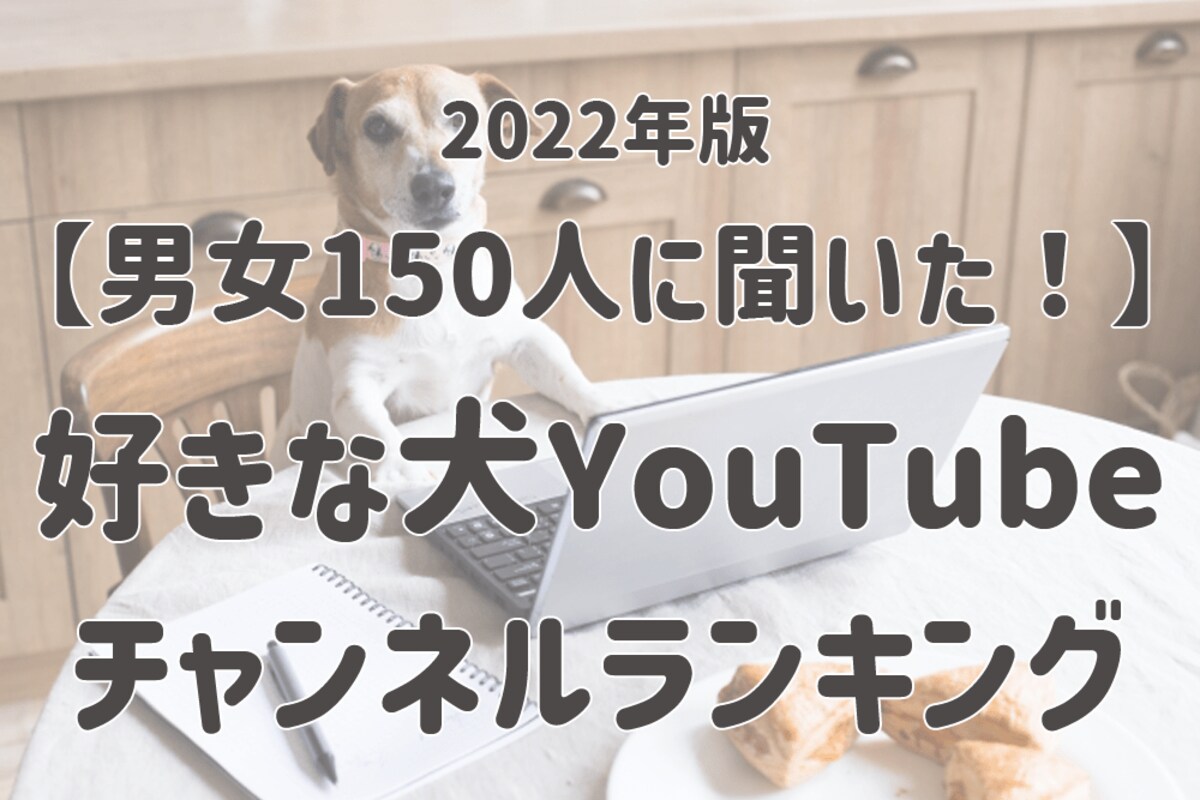 男女150人に聞いた 好きな犬youtubeチャンネルランキング 第3位は プピプピ文太 男女150人に聞いた 好きな犬youtubeチャンネルランキング 第3位は プピプピ文太