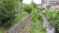 梅田川の河川敷にクマ出没　付近では親子グマの目撃も相次ぐ　市が箱わな設置〈仙台市〉