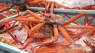 「ベニズワイガニ」最高値は7万900円!豊漁の滑り出しに境港に活…