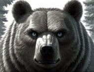 【ヒグマ速報】初競りで100万円の“夕張メロン”120玉食い荒らされる…警察は「クマによるもの」とみて警戒―近くのポプラの木に爪痕も〈北海道夕張市〉