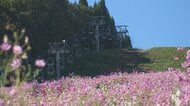 今冬は「スーパーエルニーニョ」で暖冬の可能性　スキー場、寒ブリ、立山の雪まで、富山への影響を総点検