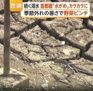 「過去最低レベル」首都圏最大ダムが渇水で“観光放流”見送り、湖底の道路むき出し　原油高騰で野菜もピンチ…農業資材が品薄・高騰