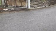 「お金が欲しかった」14歳女子中学生を逮捕　60代女性の顔にスプレーかけ財布奪ったか　埼玉・春日部市