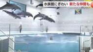 週の中日の祝日スケッチ　水族館にぎわう　県警ではユニークなイベント　鹿児島