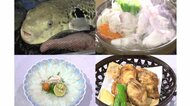 泣く泣く捨てたお湯に魚集まり閃く…天然温泉でトラフグの養殖に成功　ふっくら唐揚げが絶品「復活の切り札に」【三重発】