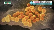 長崎県が3月以降の新型コロナウイルスの感染状況の分析結果を報告