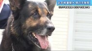 不明の男の子を無事発見 大活躍する警察犬ドン号を表彰…大好物の前ではかわいい一面も【広島発】