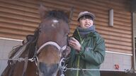 かつて30頭まで激減…絶滅の危機を乗り越えた「木曽馬」　午年生まれの24歳飼育員が1000年以上続く伝統を継承　一人前を目指し奮闘中