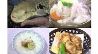 泣く泣く捨てたお湯に魚集まり閃く…天然温泉でトラフグの養殖に成功　ふっくら唐揚げが絶品「復活の切り札に」【三重発】