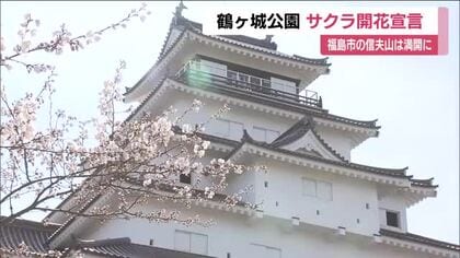 会津若松市・鶴ヶ城公園の桜が開花　去年より10日早く　福島市・信夫山公園では満開の便り