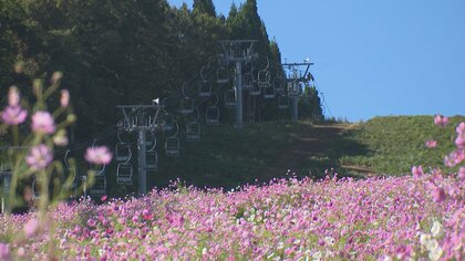 今冬は「スーパーエルニーニョ」で暖冬の可能性　スキー場、寒ブリ、立山の雪まで、富山への影響を総点検