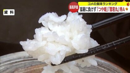 「つや姫」「雪若丸」がことしも最高評価！　記録的猛暑に負けずコメの食味ランキングで「特A」 【山形発】