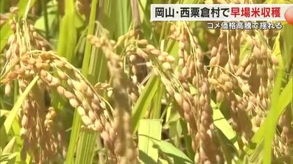 西粟倉村で新米の収穫始まる…収入増加に農家は期待も価格高騰による消費者のコメ離れに不安【岡山】