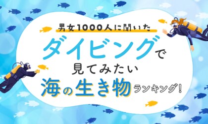 【男女1000人に聞いた】ダイビングで見てみたい海の生き物ランキング!
