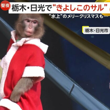 日光さる軍団が“きよしこの夜”をハンドベル演奏　ギリシャのエーゲ海では“水上のメリークリスマス”　SUP選手たちがサンタ姿でボードに