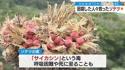 ソテツがなかったらご飯はない」アメリカ統治下の鹿児島・奄美群島 島民の空腹を満たし命をつないだ方法を再現｜FNNプライムオンライン