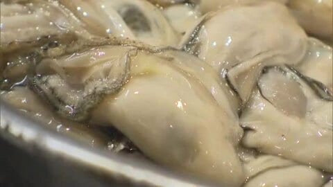 水揚げしたカキの約半数が「死んでいる」備前市日生町でカキ大量死　漁協関係者「頑張って乗り切ろう」我慢の日々始まる【岡山発】