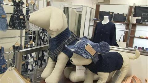 備前・備中・備後から２３のデニムブランドが集結　ユニークなデニム製品の販売や藍染の体験会開催【岡山】