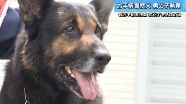 不明の男の子を無事発見 大活躍する警察犬ドン号を表彰 大好物の前ではかわいい一面も 広島発