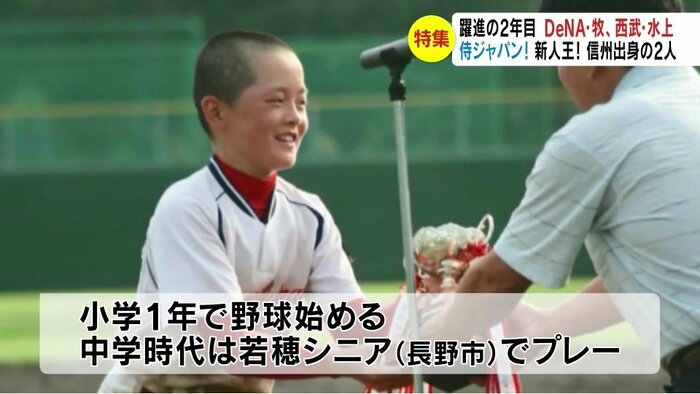 提供写真