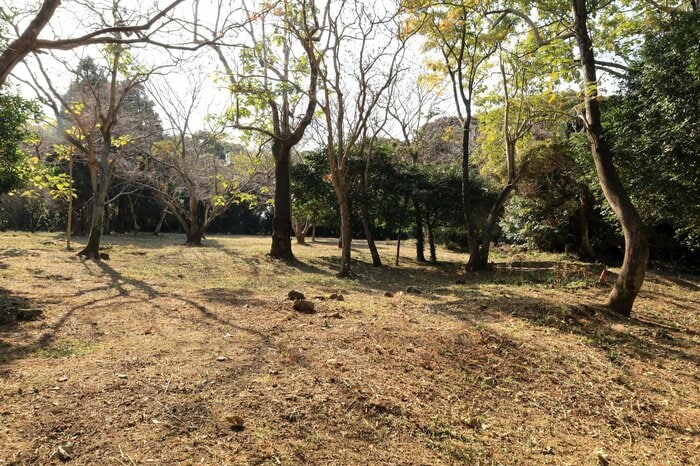 徳川家康別陣の曲輪。3棟の掘立柱建物跡が確認されている