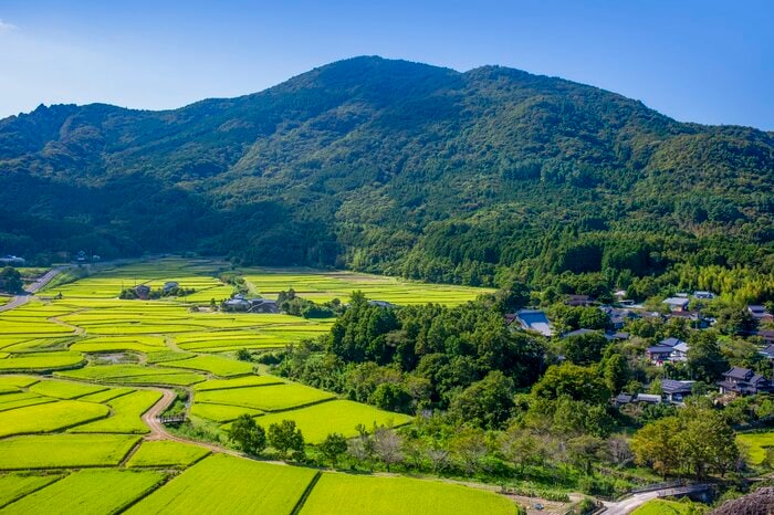 “手入れ”された田んぼがある風景(イメージ)