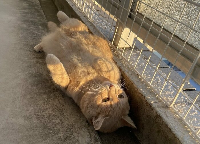 いい幅見つけたね