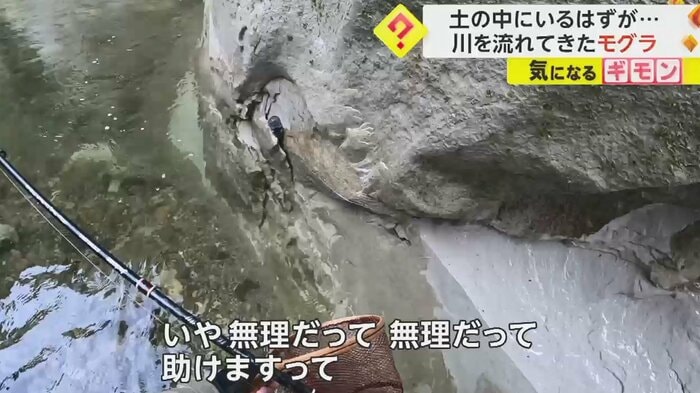 モグラはなんとか岩場の隙間を見つけて上がった