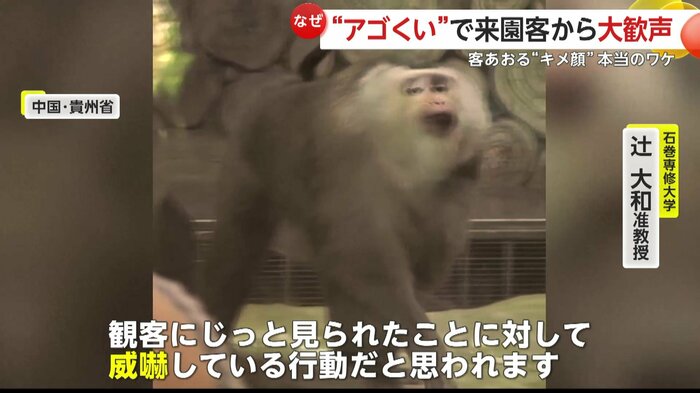 キメポーズは「威嚇」だった(中国SNSより)