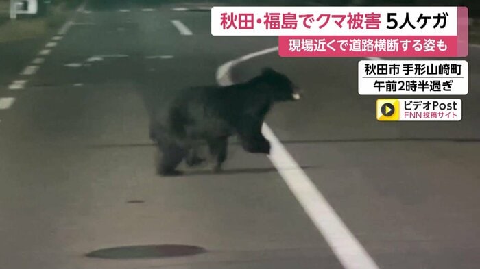現場近くで道路を横断するクマ(秋田市)