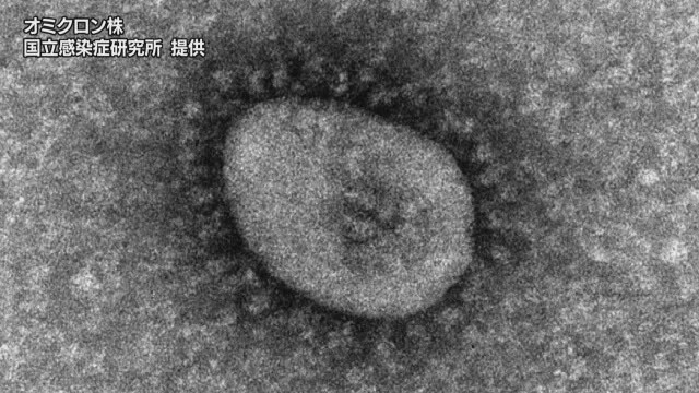 コロナ変異株は「群雄割拠」の状態になるのか
