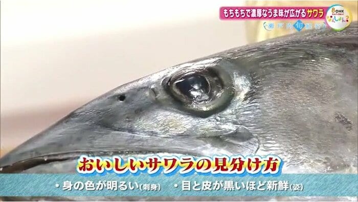 おいしいサワラの見分け方