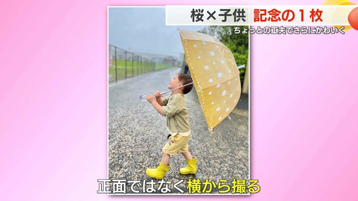 雨の日はかわいいフォルムで撮れる