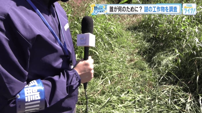 この先に問題の場所があるのか？