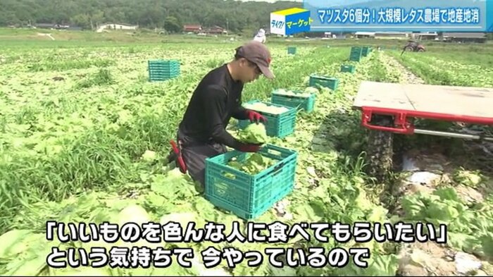 収穫作業に取り組む木村さん