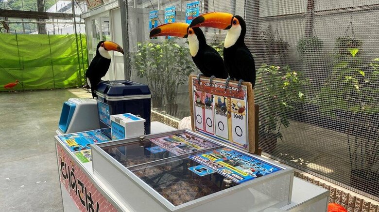 掛川花鳥園にいる“圧強めの店員さん”が話題…「お金はここに入れて」どんな接客か聞いた｜FNNプライムオンライン