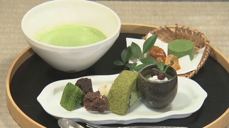 “三河の小京都”とも…新茶の季節を迎えた抹茶の産地・愛知県西尾市 倍量でお湯半分の「濃茶」は至極の一杯｜FNNプライムオンライン