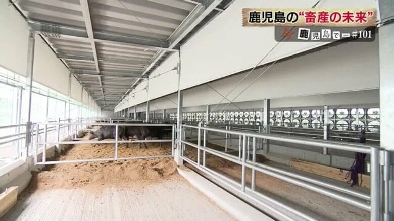 畜産県・鹿児島に「南九州畜産獣医医学拠点」が完成　省力・動化を駆使した最新鋭の施設にカメラが初潜入｜FNNプライムオンライン