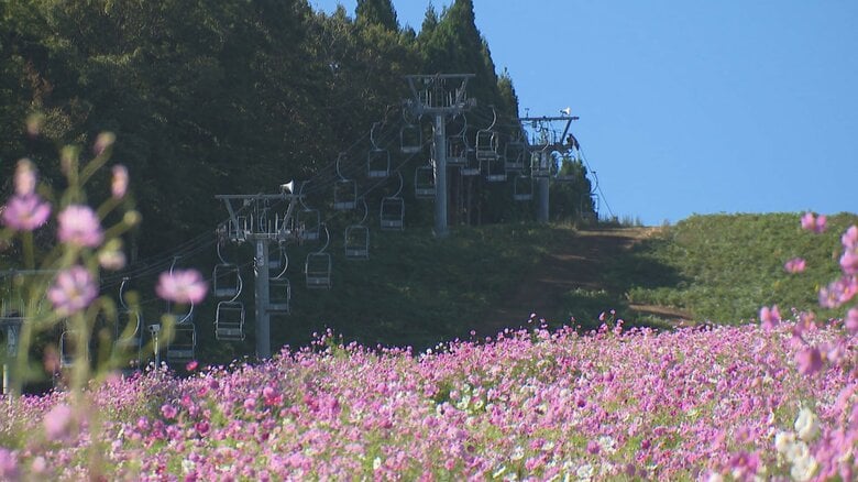 今冬は「スーパーエルニーニョ」で暖冬の可能性　スキー場、寒ブリ、立山の雪まで、富山への影響を総点検｜FNNプライムオンライン