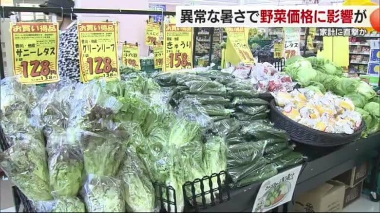 梅雨に続く真夏日　松山のスーパーでは野菜価格にすでに影響「梅雨明けたら…非常に懸念」【愛媛】｜FNNプライムオンライン