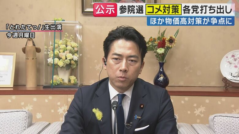 参院選で各党“米対策”　小泉改革に対し青山氏「出口がないとただのぶっ壊し…次の段階そろそろ問われる」｜FNNプライムオンライン