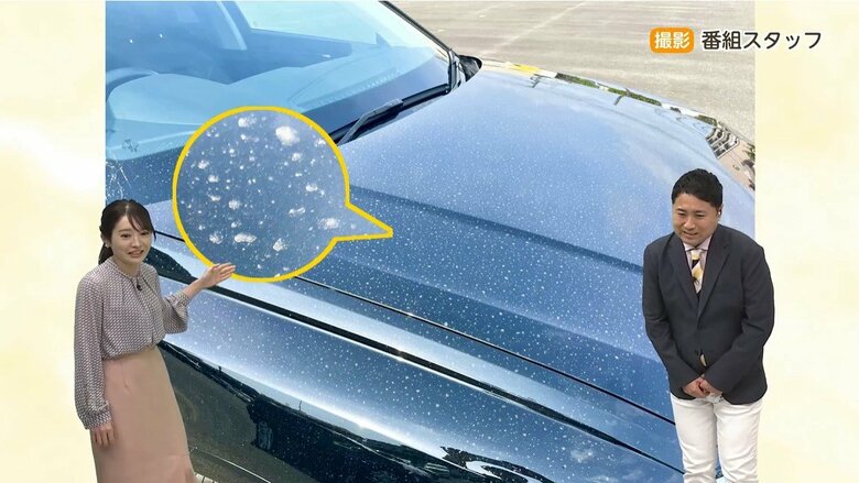 「洗車いつやるか？」「今でしょ！」雨の前に洗車しないと黄砂が泥団子になってシミに…　今週末の「洗車のタイミング」と「ボディに傷がつかない洗い方」を気象予報士が解説｜FNNプライムオンライン