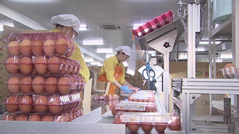 卵の殻まで使い廃棄物ほぼゼロに　養鶏業界のために挑戦し続ける企業のSDGsな取り組み【宮崎発】｜FNNプライムオンライン