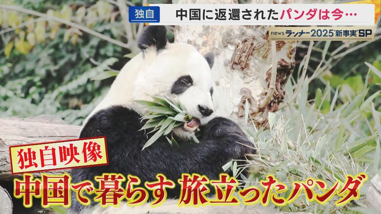 「”ポストパンダ”に切り替えた」と町長　パンダが消えた和歌山県白浜町　次は温泉で勝負？パンダ”ロス”のアドベンチャーワールドはどうなったのか…飼育スタッフが8年間の想いと返還の舞台裏を打ち明ける｜FNNプライムオンライン