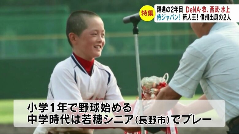 提供写真