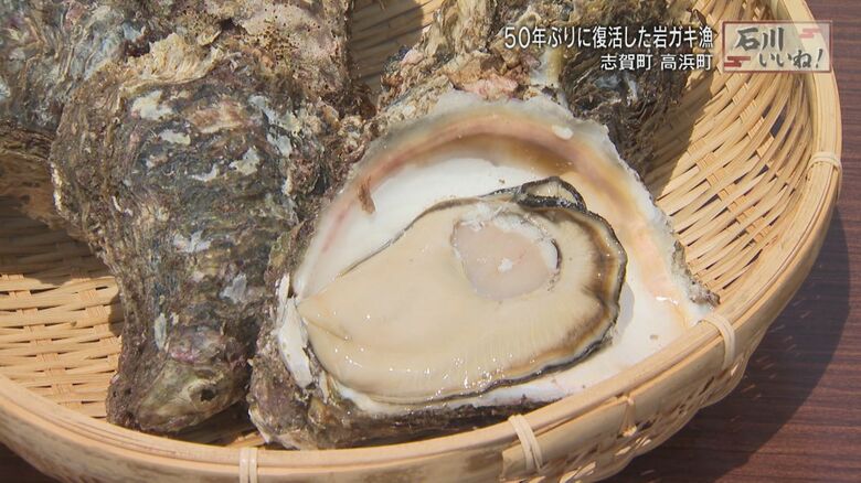 採れたての岩ガキを生で!