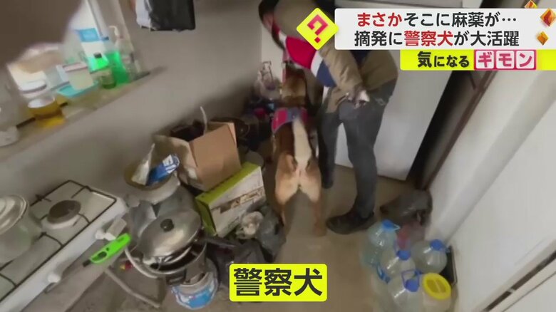 (画像:IHA)