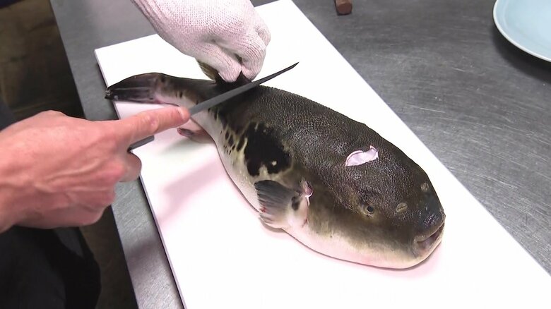 大きいものでは6キロにも…