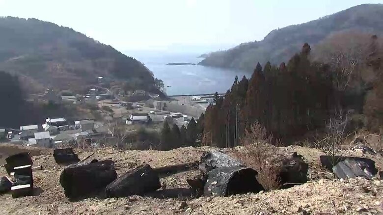 焼け焦げた木々が至る所に残されている